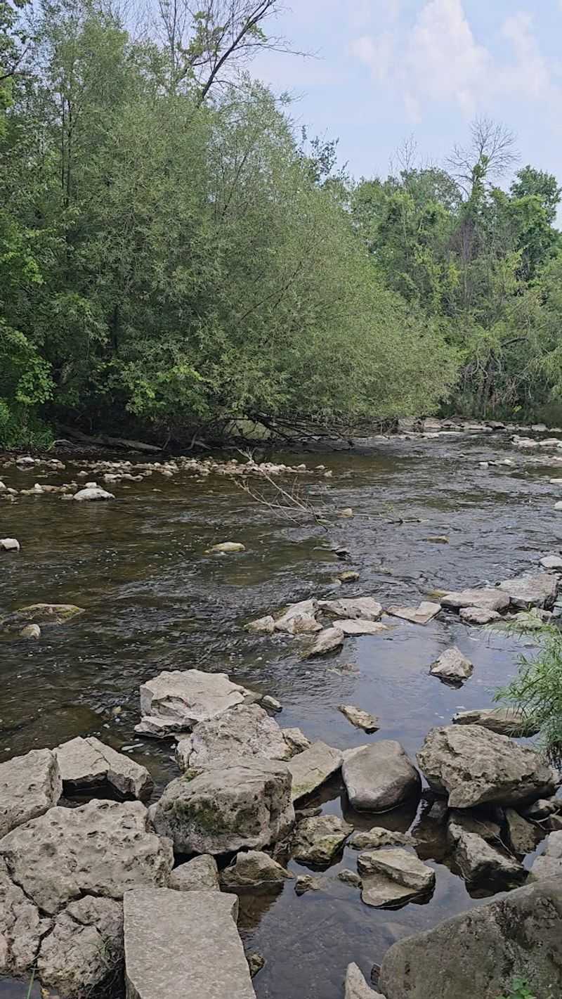 The River Trail and What It Offers The River Trail and What It Offers