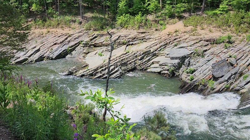 The River Views: The Reward Worth Every Step