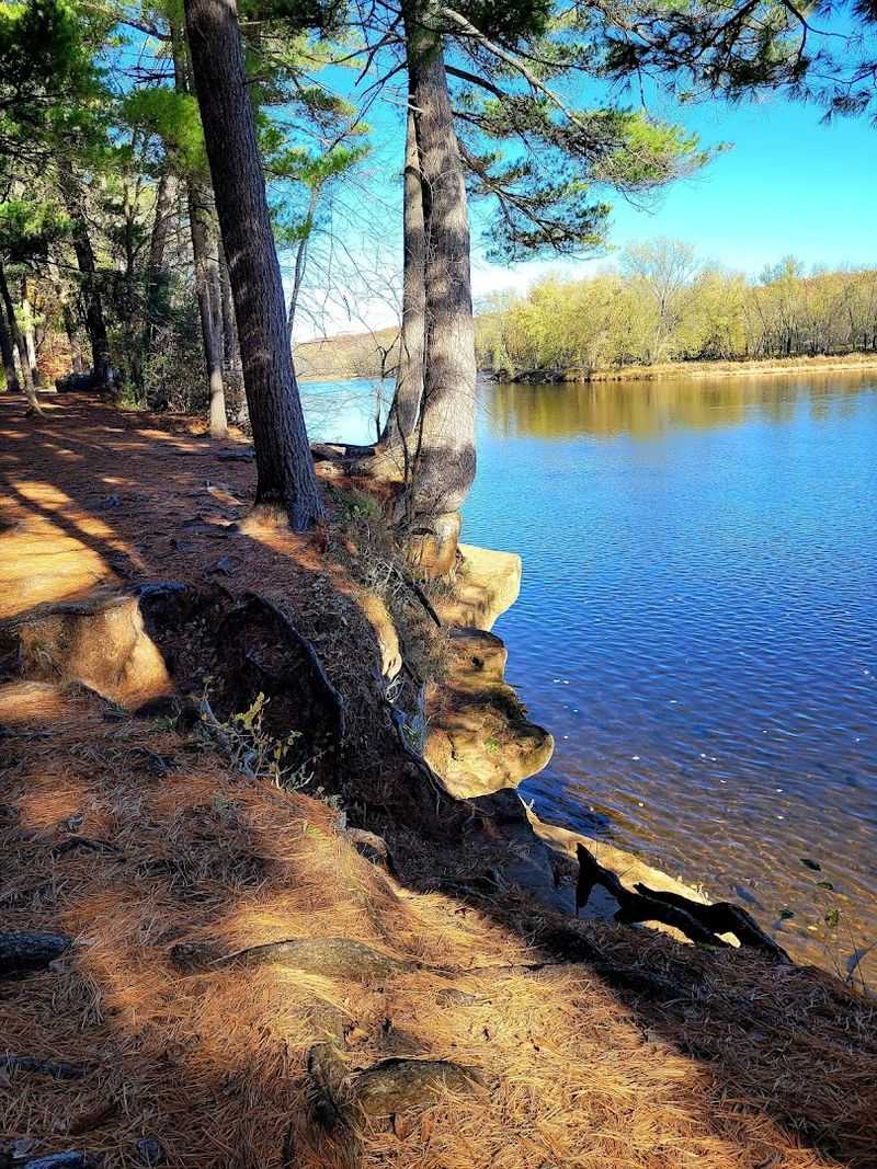 The Riverside Trail and What Makes It Stand Out The Riverside Trail and What Makes It Stand Out