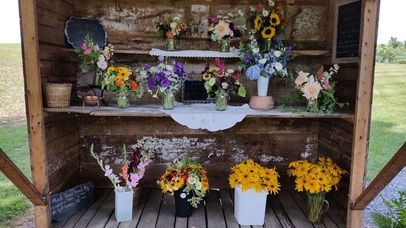 The Roadside Stand That Makes Your Day Better The Roadside Stand That Makes Your Day Better