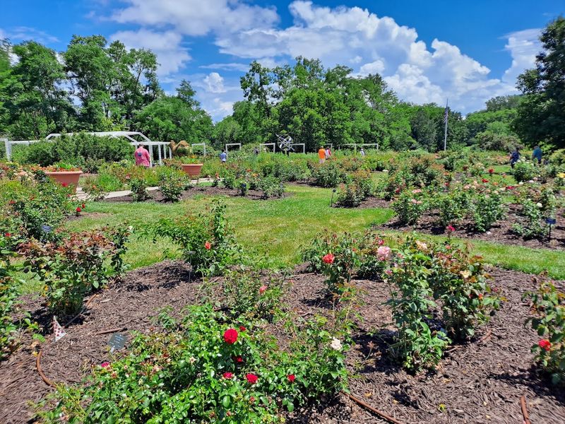 The Robert H. Storz Family Rose Garden: Nearly 2,000 Reasons to Slow Down The Robert H. Storz Family Rose Garden: Nearly 2,000 Reasons to Slow Down
