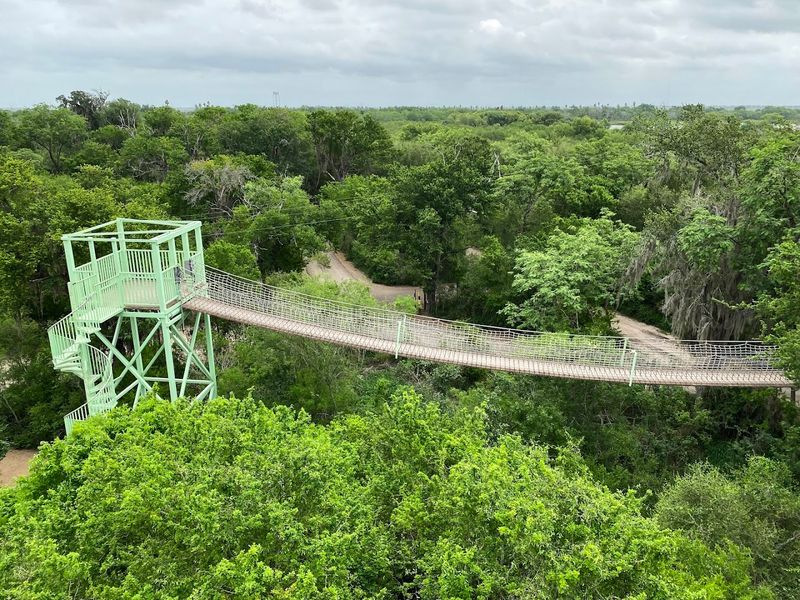 The Rope Bridge and Canopy Walk That Visitors Keep Talking About The Rope Bridge and Canopy Walk That Visitors Keep Talking About