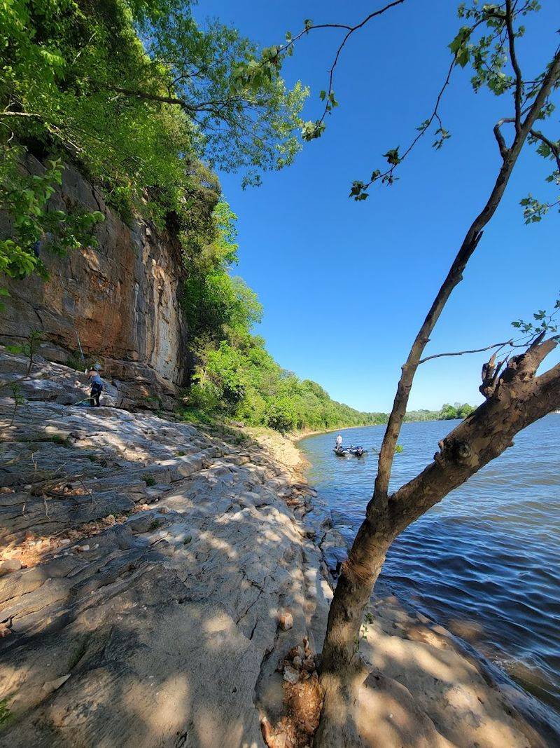 The Rope Swing and Riverside Section