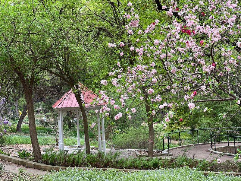 The Rose Garden and Its Quiet Seasonal Charm