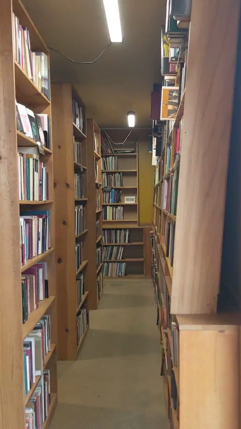 The Scholar Underground and Other Hidden Levels Worth Seeking Out The Scholar Underground and Other Hidden Levels Worth Seeking Out