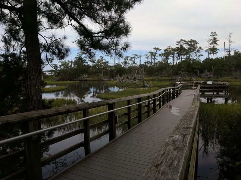 The Secluded Beach And Bogue Sound Reward The Secluded Beach And Bogue Sound Reward