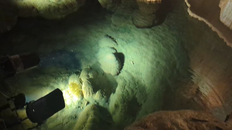 The Secret Life of Cave Creatures