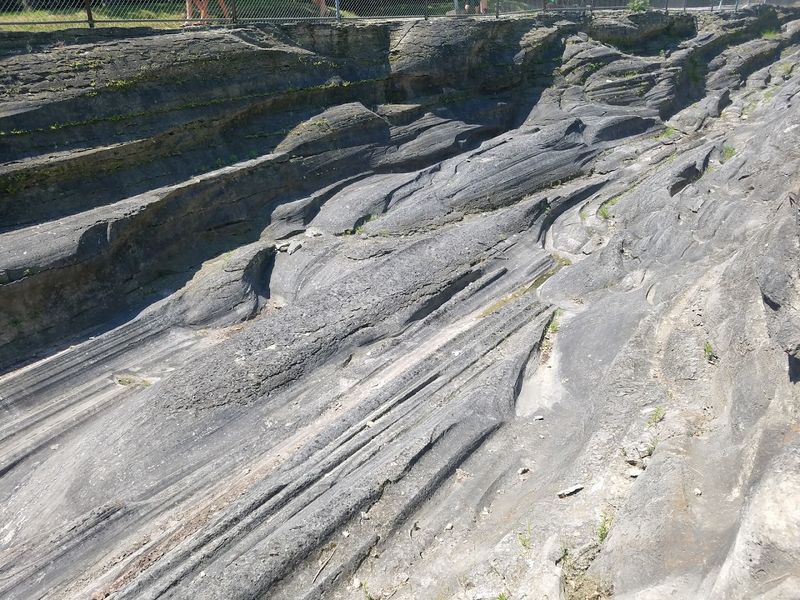 The Sheer Size of What Remains The Sheer Size of What Remains