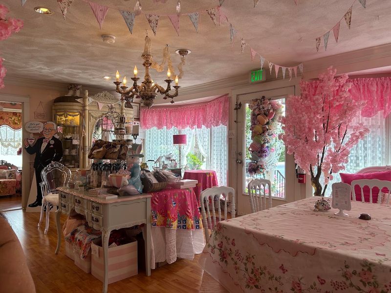 The Shop Inside the Tea Room The Shop Inside the Tea Room