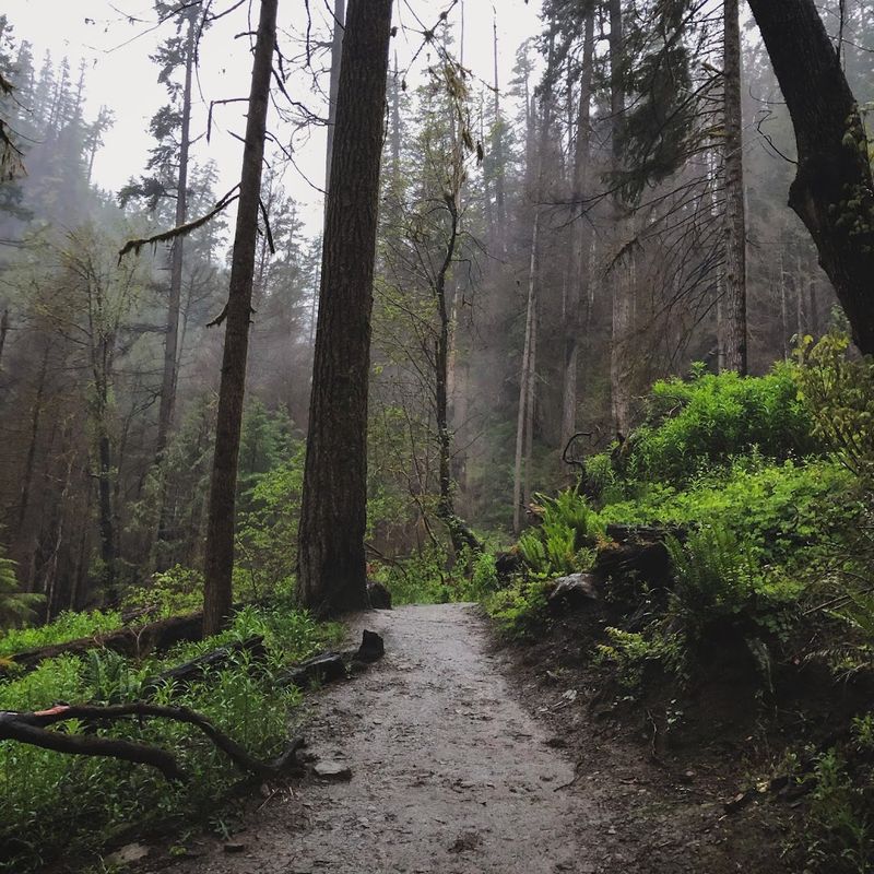 The Short Hike In: A Quarter-Mile That Earns Its Reward The Short Hike In: A Quarter-Mile That Earns Its Reward
