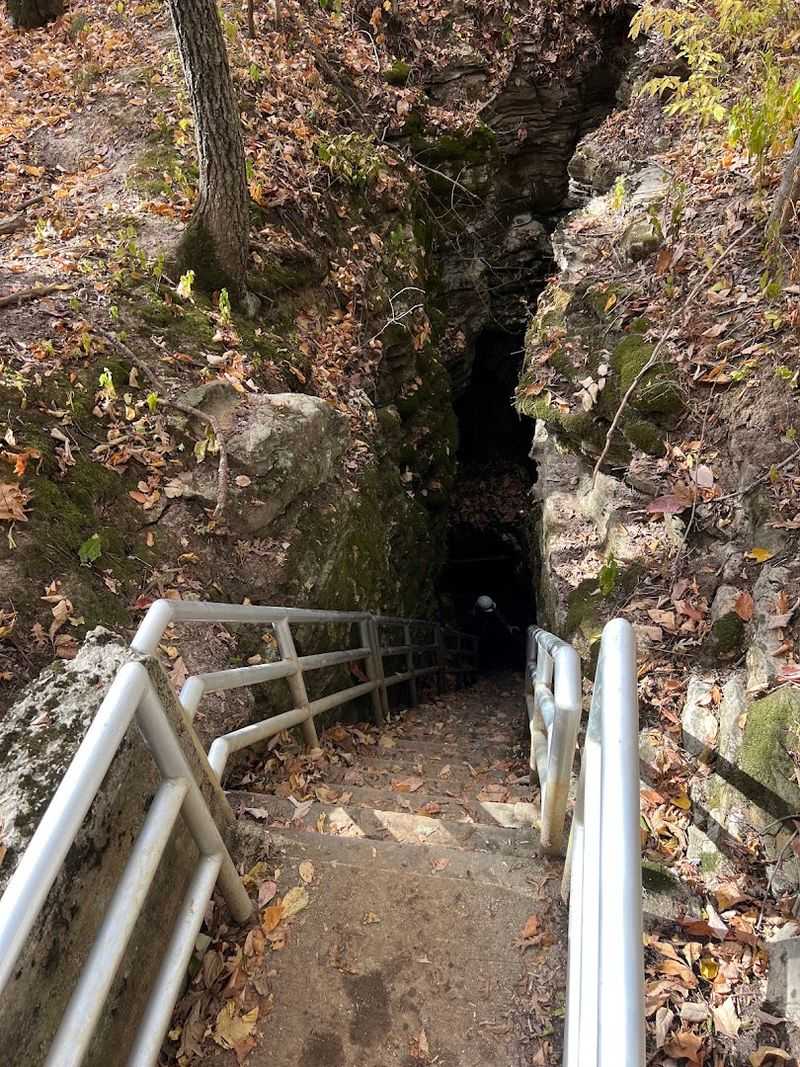 The Sinkhole Entrance and the Descent The Sinkhole Entrance and the Descent