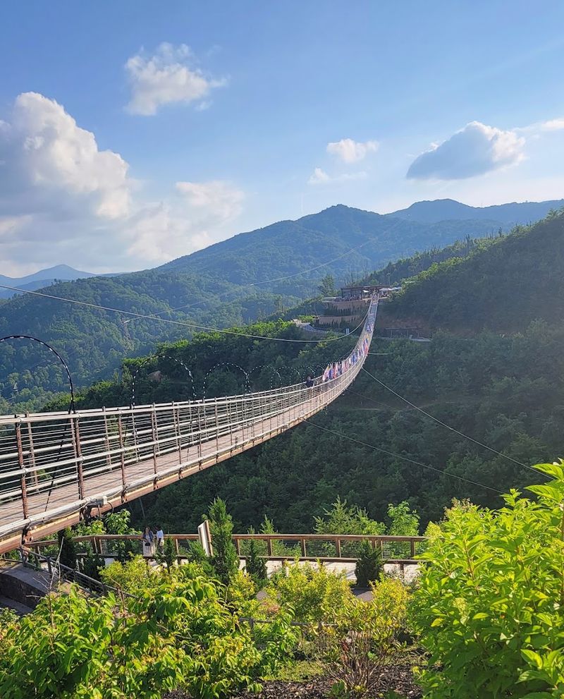 The SkyBridge: 680 Feet of Pure Suspension