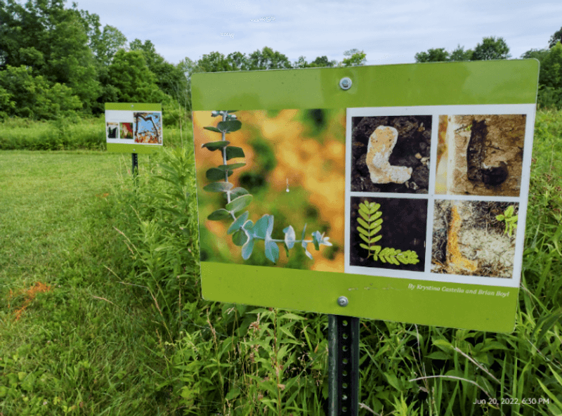 The Small Arboretum That Teaches You Ohio's Native Trees The Small Arboretum That Teaches You Ohio's Native Trees