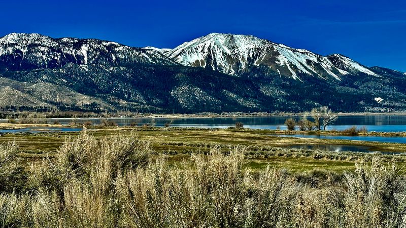 The Smell of Sagebrush in the Morning Air The Smell of Sagebrush in the Morning Air