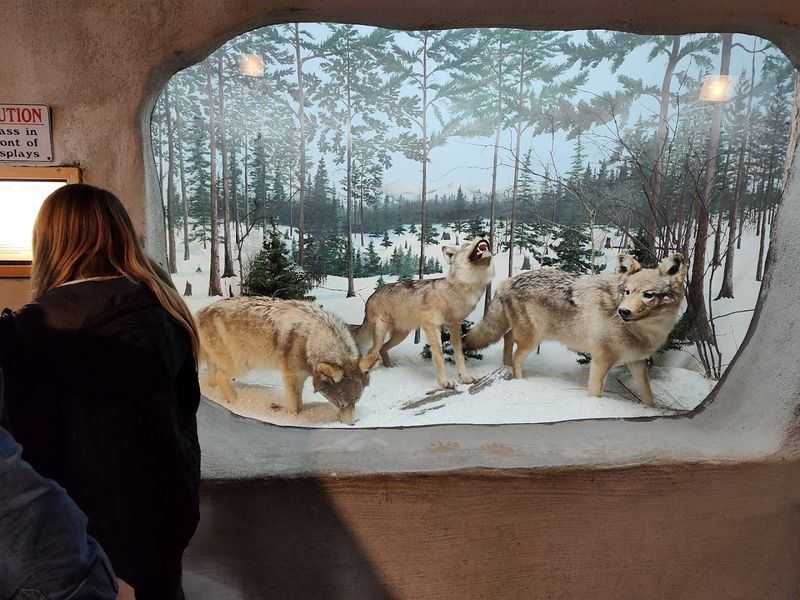 The Sound Effects That Bring Michigan Wildlife to Life The Sound Effects That Bring Michigan Wildlife to Life