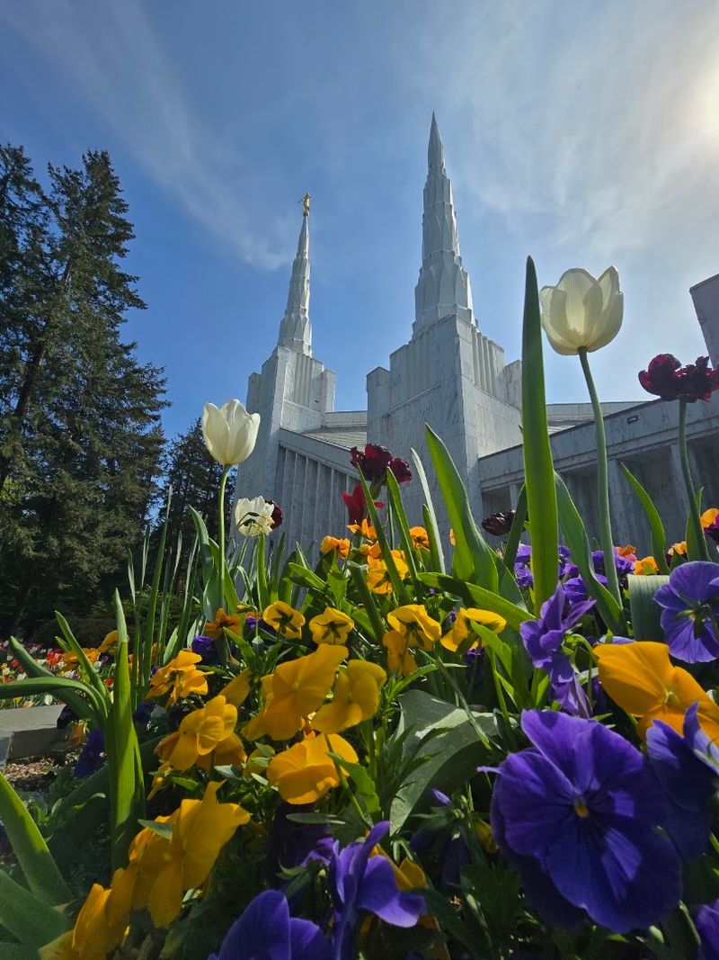 The Spiritual Significance for Members The Spiritual Significance for Members