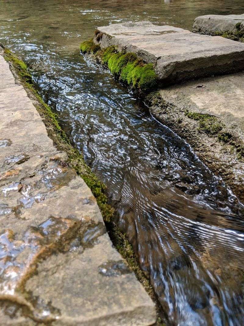 The Spring Water That Makes This Creek Different The Spring Water That Makes This Creek Different
