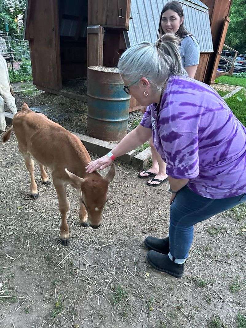 The Staff and Volunteers Are the Soul of the Sanctuary The Staff and Volunteers Are the Soul of the Sanctuary