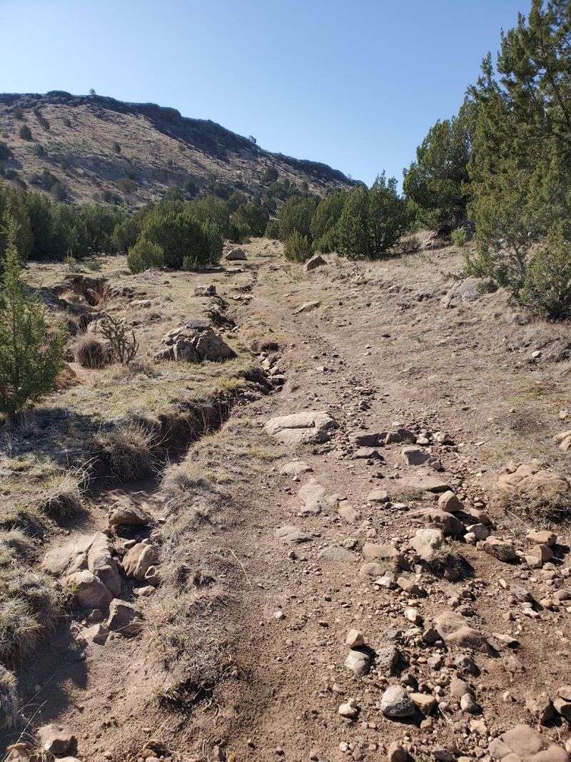 The Steep Climb Up the Mesa: Where the Real Work Begins The Steep Climb Up the Mesa: Where the Real Work Begins