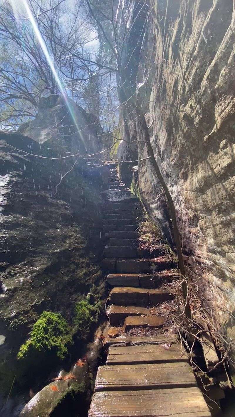 The Stone Stairway That Started It All
