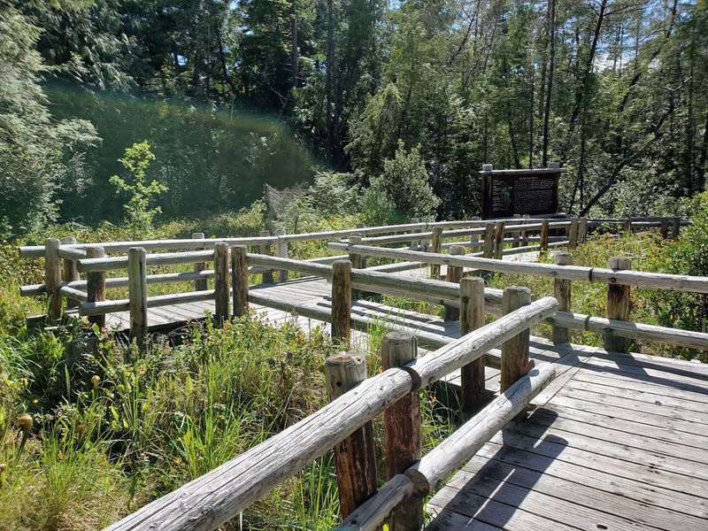 The Story Behind This One-of-a-Kind Protected Bog The Story Behind This One-of-a-Kind Protected Bog