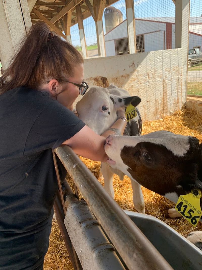 The Story Behind the Creamery