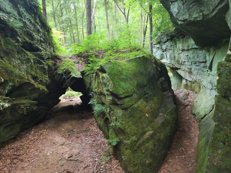 The Story Behind the Park's Name