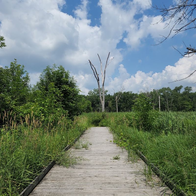 The Story Behind the Park's Unusual Name The Story Behind the Park's Unusual Name