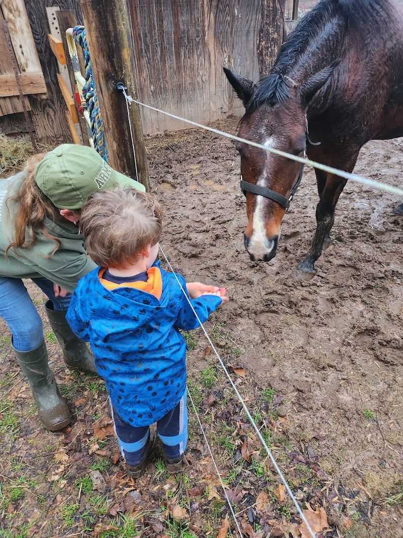 The Story Behind the Ranch