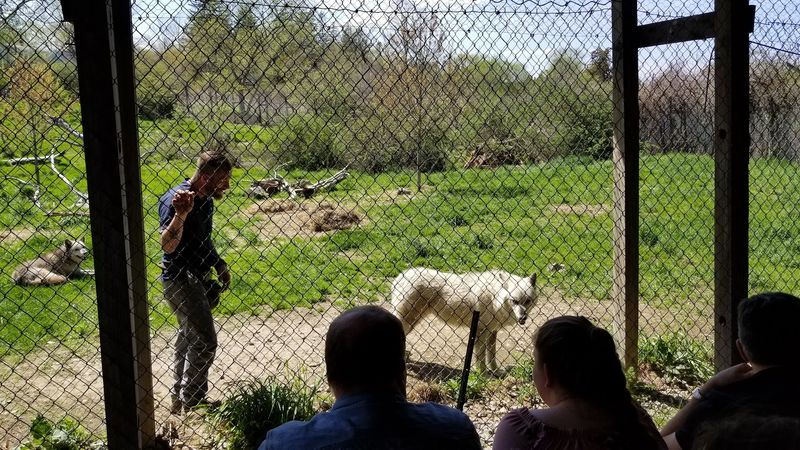 The Story Behind the Sanctuary The Story Behind the Sanctuary