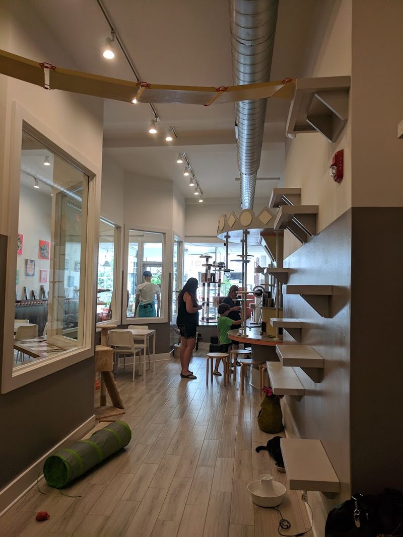 The Story Behind the Space The Story Behind the Space