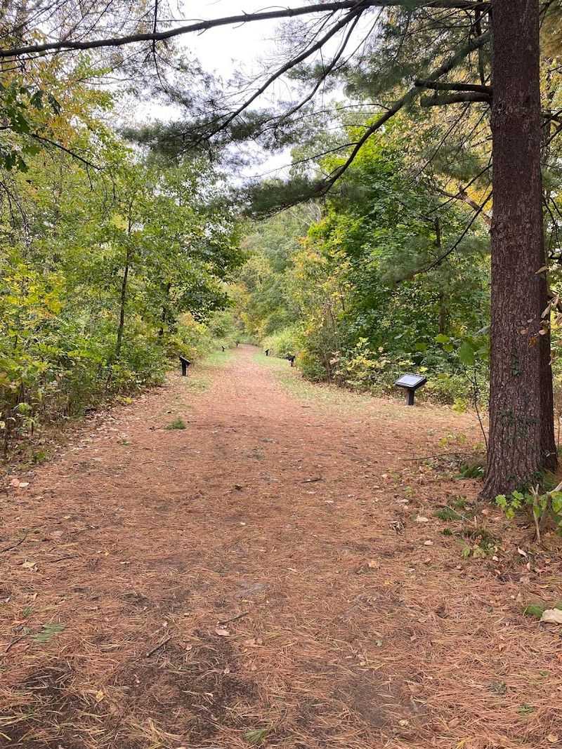 The Storybook Trail That Makes Reading an Outdoor Activity The Storybook Trail That Makes Reading an Outdoor Activity