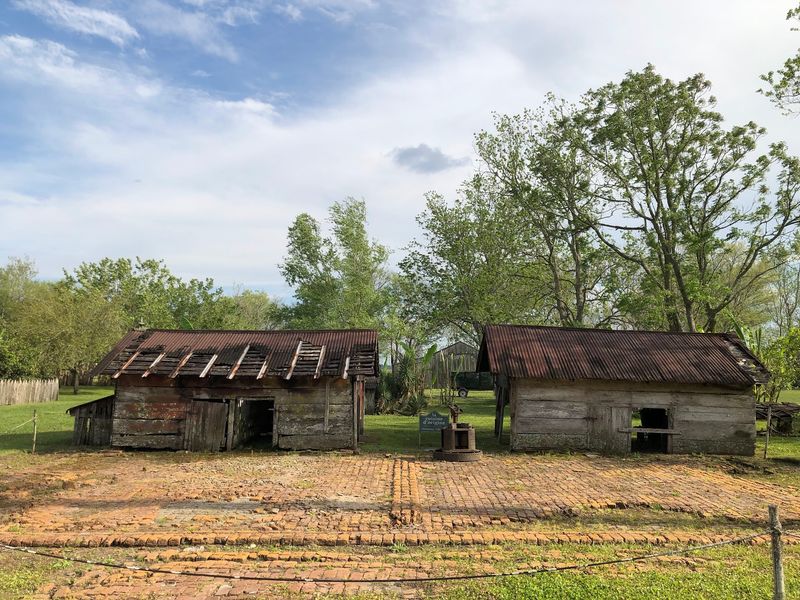 The Sugarcane Industry and What It Cost The Sugarcane Industry and What It Cost