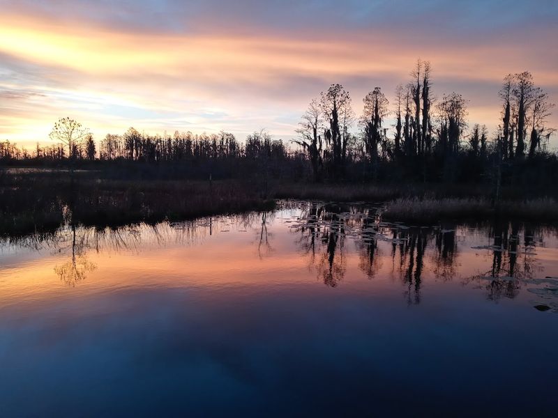 The Sunset Tour: A Completely Different Swamp The Sunset Tour: A Completely Different Swamp