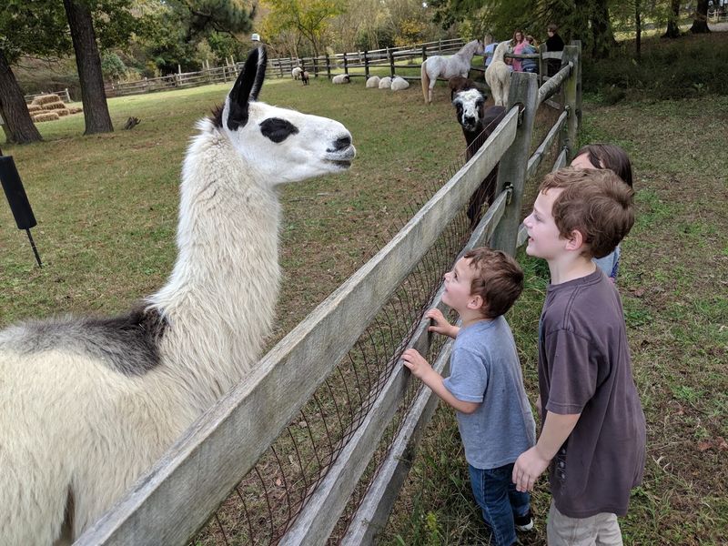 The Surprising Cost of Admission
