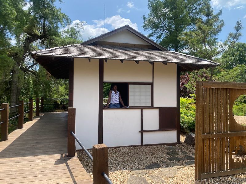 The Teahouse That Transports You The Teahouse That Transports You