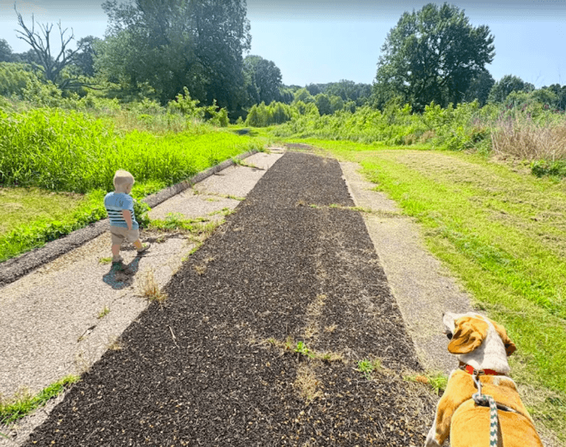 The Tire Trail That Made Headlines The Tire Trail That Made Headlines