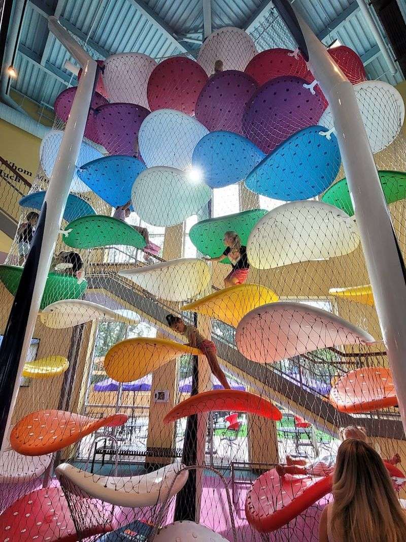 The Toddler Zone: A Dedicated Space for the Youngest Explorers