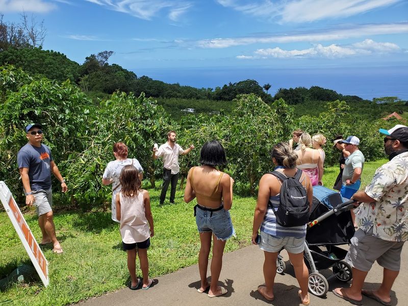 The Tour Itself: What Actually Happens During the Walk
