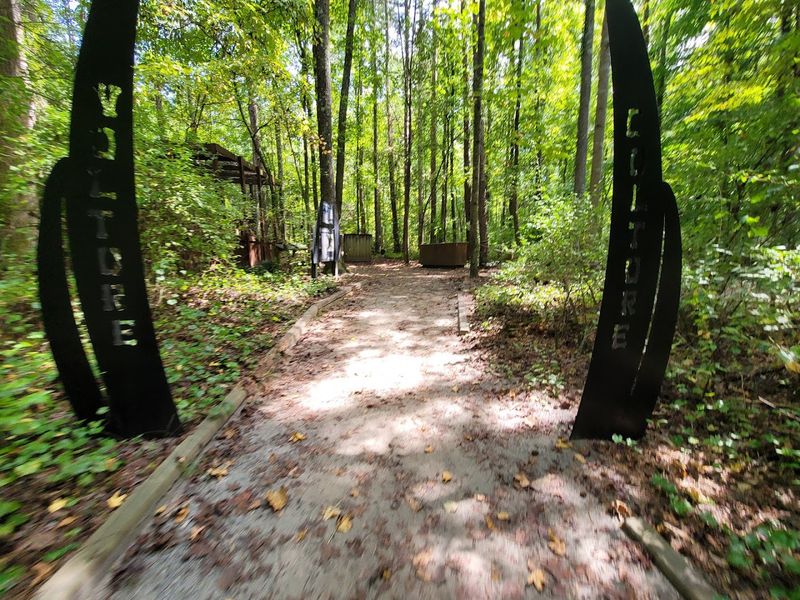 The Trail Experience: A Walk Through the Woods with Wings The Trail Experience: A Walk Through the Woods with Wings