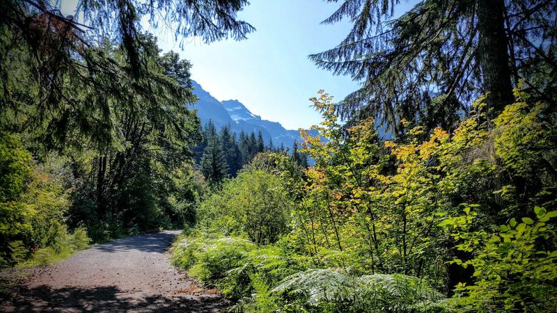 The Trail Itself: What the Hike Feels Like