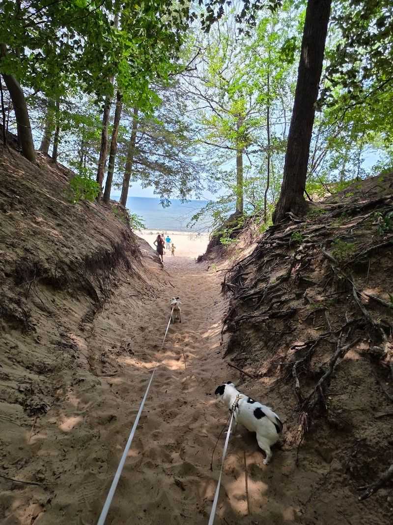 The Trail Layout: What the North Outer Loop Actually Looks Like The Trail Layout: What the North Outer Loop Actually Looks Like