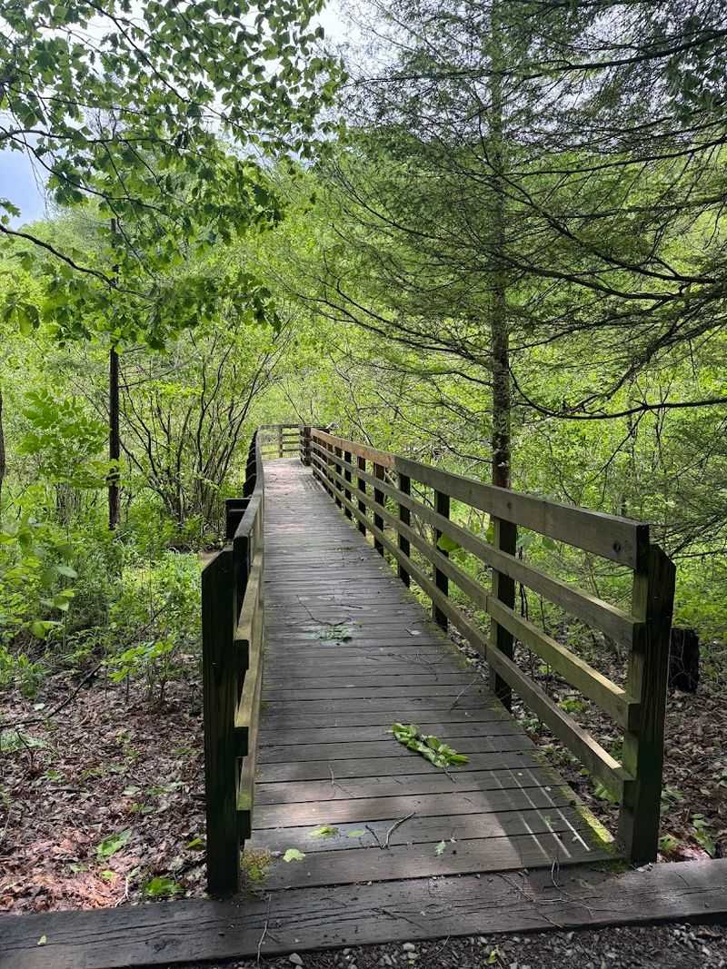 The Trail Network That Keeps You Guessing Around Every Bend