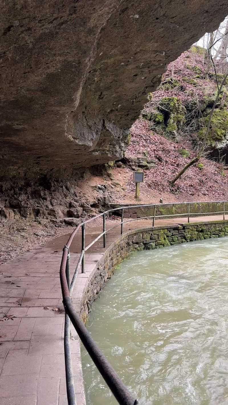 The Trail Of Tears Connection That Adds Sobering Depth The Trail Of Tears Connection That Adds Sobering Depth