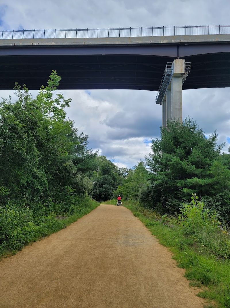 The Trail Surface: Packed Gravel Done Right