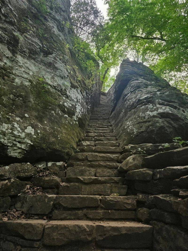 The Trail System: Eight Miles of Connected Paths