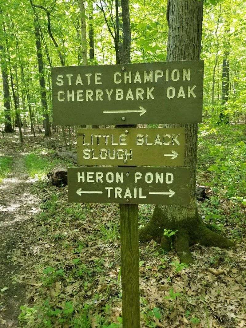 The Trail System and How to Navigate It The Trail System and How to Navigate It