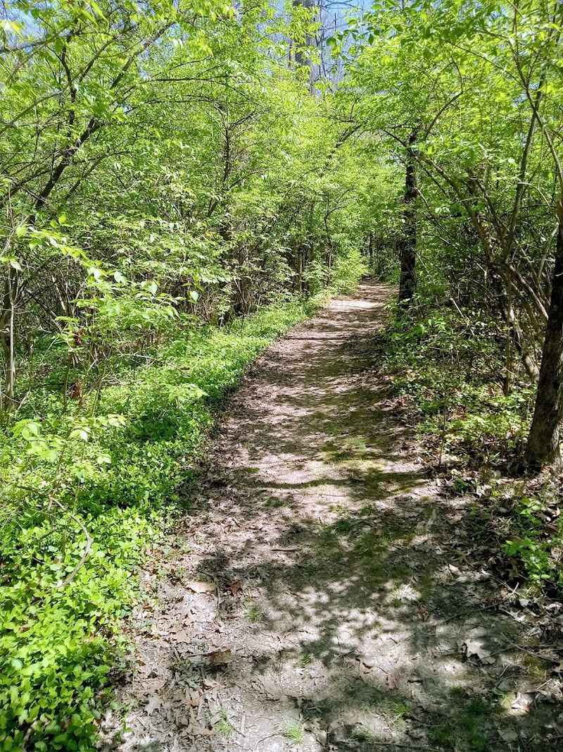 The Trail at the Top and Remnants Worth Noticing The Trail at the Top and Remnants Worth Noticing