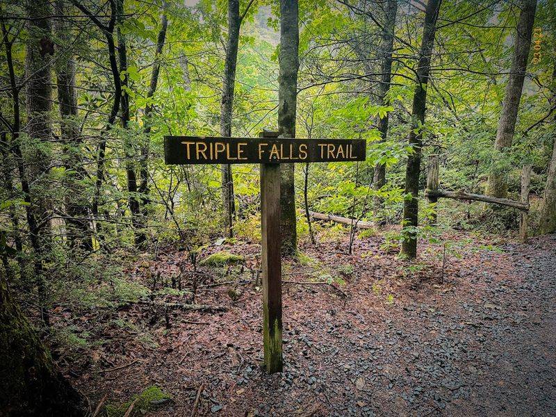 The Trails Are Accessible for Most Skill Levels The Trails Are Accessible for Most Skill Levels