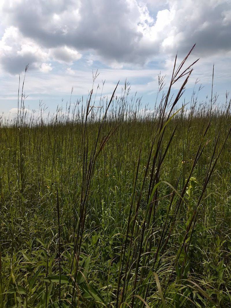 The Trails That Put You Directly Inside the Prairie The Trails That Put You Directly Inside the Prairie